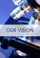 click here for OUR VISION